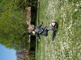 louis
